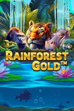 Rainforest Gold Free Play in Demo Mode